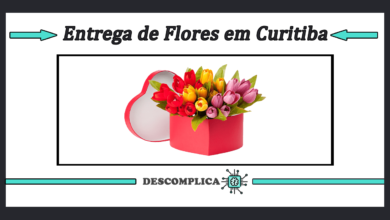 Entrega de Flores em Curitiba - Melhores Lojas e Servicos