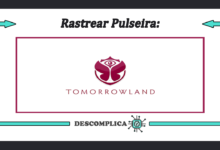 Rastrear Pulseira Tomorrowland - Rastreamento